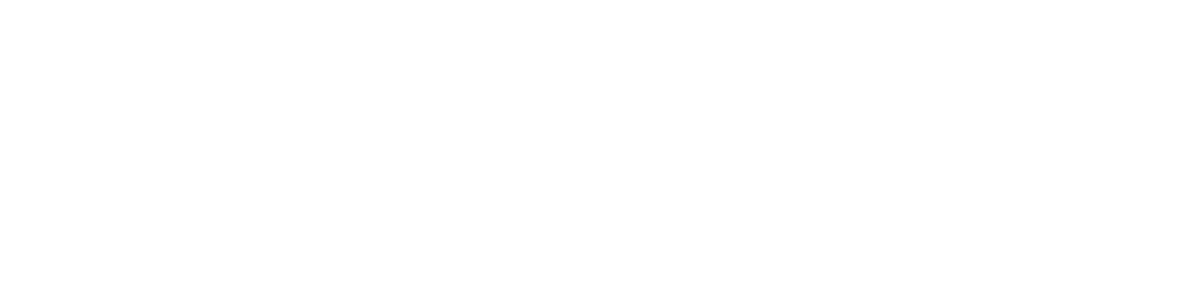 Ducom - Logo - Full - Vector (White)